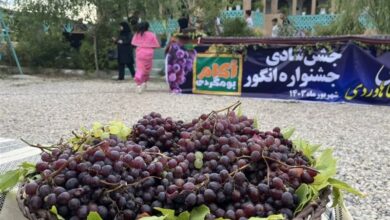 برگزاری جشنواره انگور در کوزران کرمانشاه