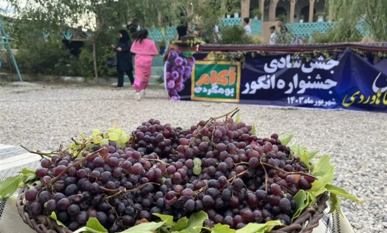 برگزاری جشنواره انگور در کوزران کرمانشاه