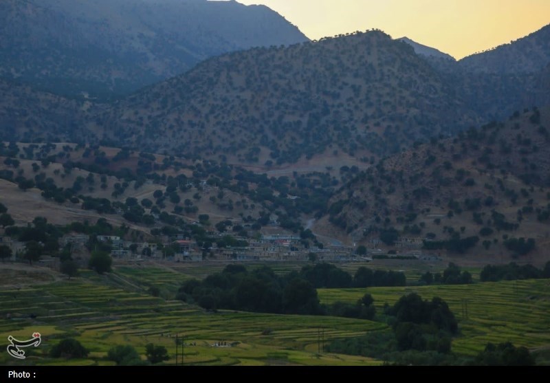 تجلیل از علی‌اکبر غریب‌شاهی قهرمان پارا المپیک پاریس+تصویر