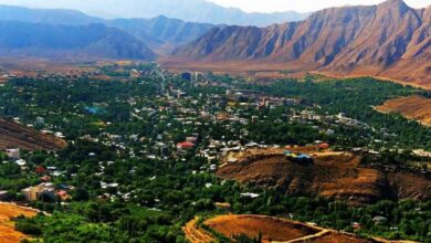 جشنواره فرهنگ و هنر شهمیرزاد بین‌المللی می‌شود