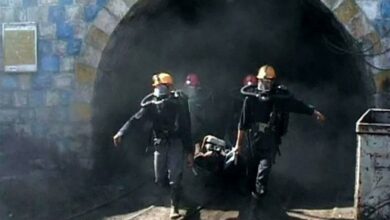 _شناسایی_ _هویت_ _19_ _فوتی_ _معدن_ _طبس_