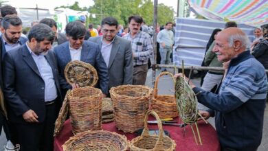 پنجمین جشنواره هلوی شندآباد برگزار شد + عکس