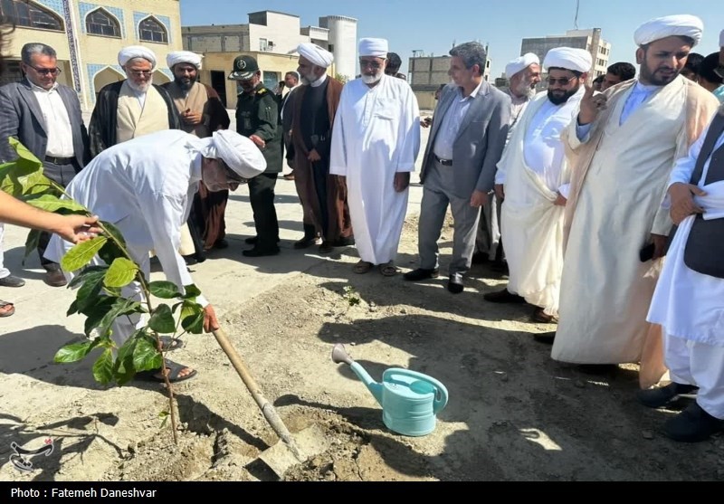 کاشت نهال وحدت در جاسک+ تصویر