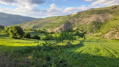 کردستان خنک می‌شود