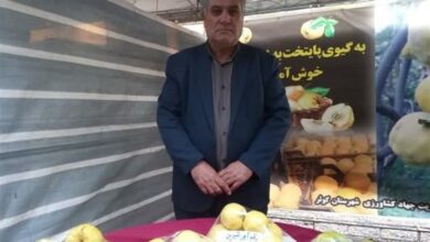 370 هکتار از باغات کوثر به کشت هیوا اختصاص یافت‌