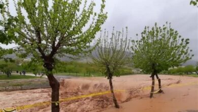 آسمان فارس از عصر امروز بارانی می‌شود