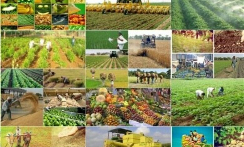اجرای سرشماری کشاورزی در 1855 روستا و آبادی ‌استان اردبیل