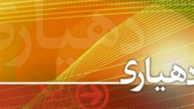 اختصاص کد دستگاه اجرایی برای 29 دهیاری استان ایلام