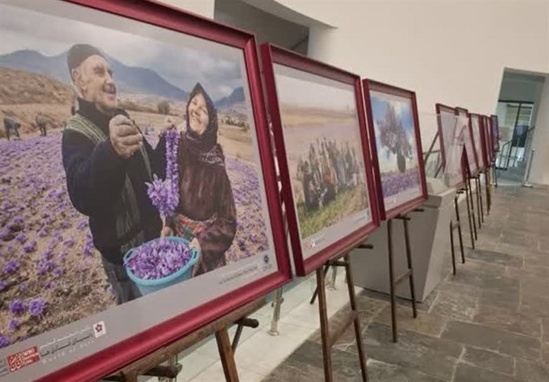 افتتاح نمایشگاه عکس زعفران در موزه بزرگ خراسان