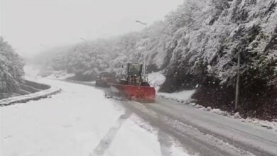 بارش شدید برف در گردنه حیران/ تردد در جاده‌ها جریان دارد