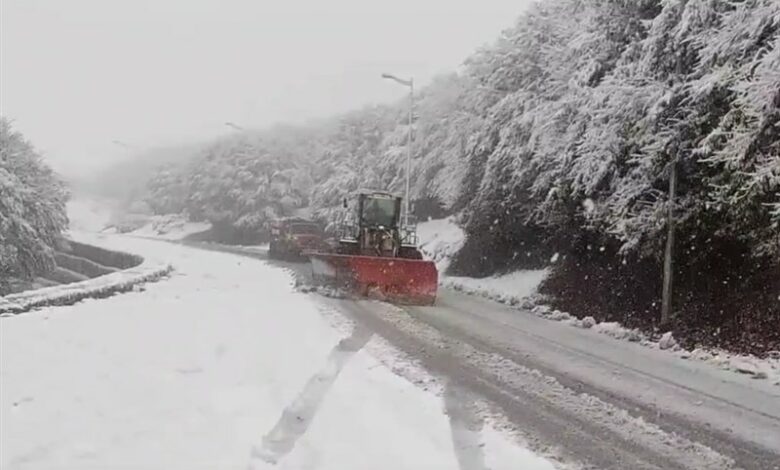 بارش شدید برف در گردنه حیران/ تردد در جاده‌ها جریان دارد