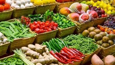 تولید سالانه 4 میلیون تن ‌محصولات کشاورزی و دامی در اردبیل