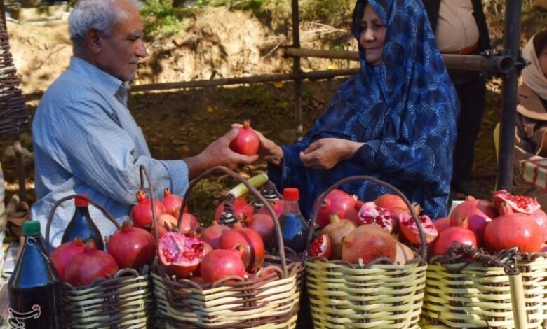 جشنواره انار در خداآفرین + تصاویر