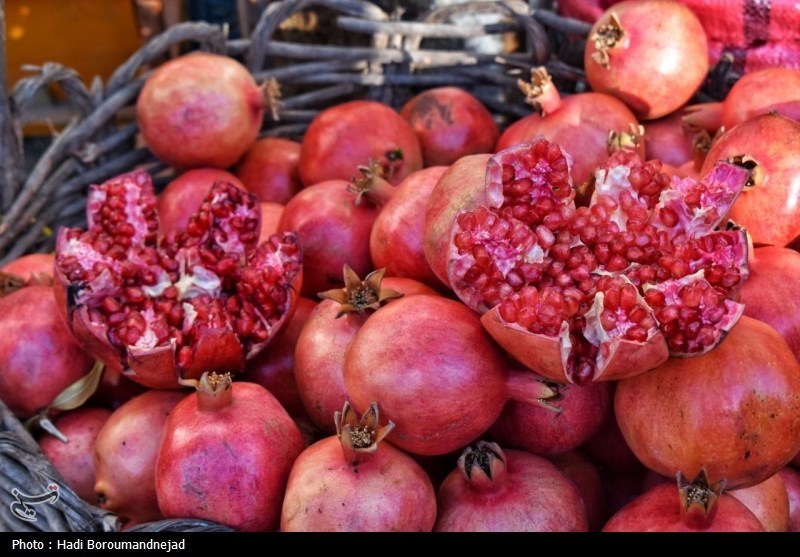 جشنواره انار در خداآفرین + تصاویر