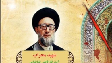 راهبردهای مبارزاتی ضداسرائیلی آیت‌الله قاضی‌طباطبایی + فیلم