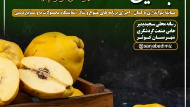 رونمایی از «حاج آقاکیشی» در جشنواره هیوای باغ‌شهر اردبیل