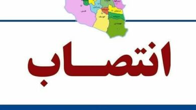 سرپرست پارک علم و فناوری خراسان جنوبی منصوب شد