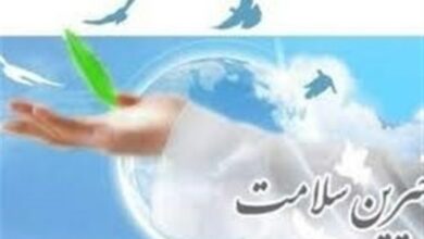 _شورای_ _بانوان_ _خیرین_ _سلامت_، _بیماران_ _نیازمند_ _را_ _اولویت_‌_بندی_ _کند_