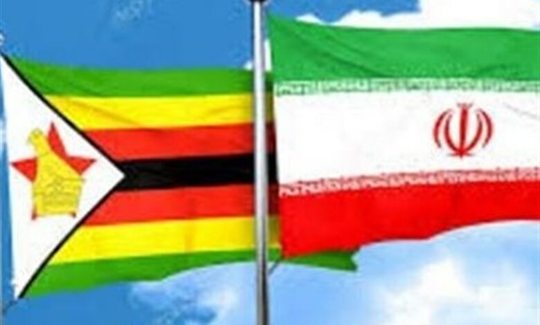 قالیباف با رئیس مجلس زیمبابوه دیدار و گفت‌وگو کرد