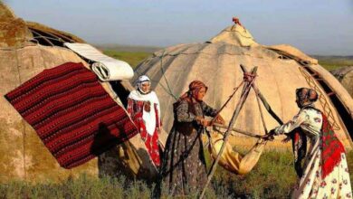 لزوم توجه به بیمه زنان عشایر در بودجه/ تلاش برای ایجاد زیرساخت‌ها جهت مهاجرت معکوس به روستاها