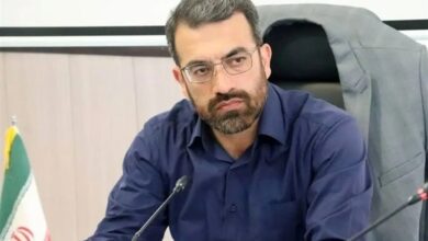 محمودی: تقویت دانش بنیان‌ها باعث رشد تولید می‌شود