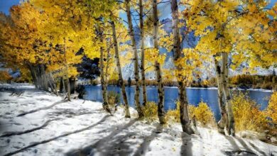 هشدار به کشاورزان؛ همدان سردتر می‌شود