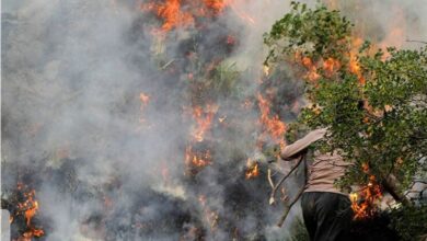 واکاوی ‌علل آتش‌سوزی در جنگل‌های کردستان/ باز هم انسان!