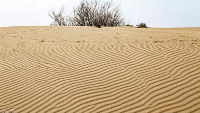 _وضعیت_ _بحرانی_ _کانون_‌_های_ _گردوغبار_ _و_ _خشک_ _شدن_ _تالاب_‌_ها_ _در_ _قم_