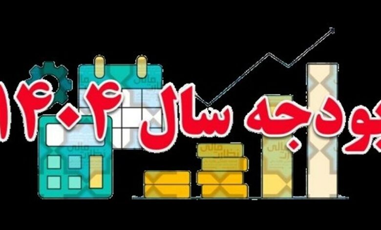 کلیات لایحه بودجه 1404 در کمیسیون برنامه تصویب شد