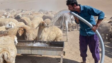 آبرسانی به عشایر با تلاش گروه‌های جهادی