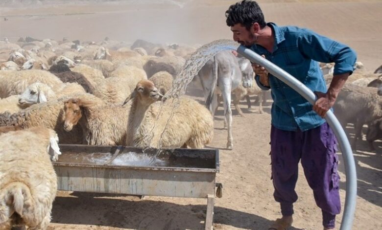 آبرسانی به عشایر با تلاش گروه‌های جهادی