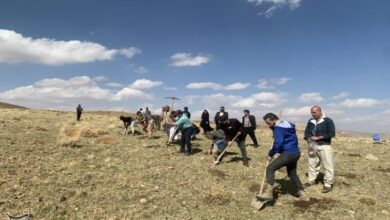 احیای 100 هکتار از مراتع شهرستان بویراحمد+تصاویر