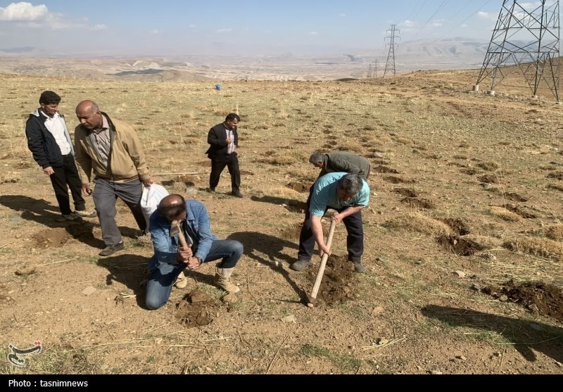 سازمان منابع طبیعی , 