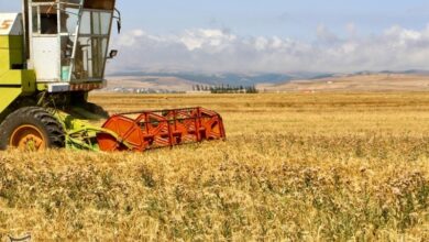اختصاص اعتبار کافی در بودجه برای رفع دغدغه گندمکاران