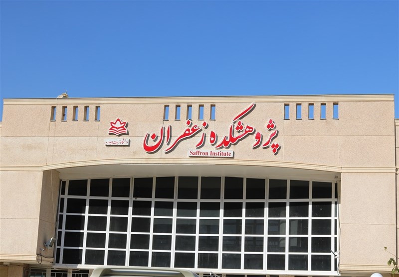 اختلاف 100 میلیونی قیمت زعفران در ایران و امارات