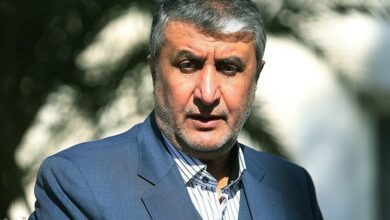 اسلامی: برنامه هسته‌ای ایران شفاف و تحت نظر آژانس است
