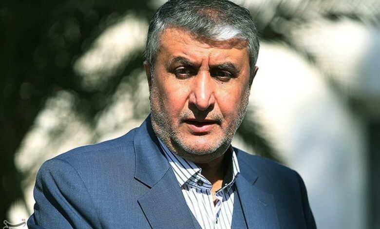 اسلامی: برنامه هسته‌ای ایران شفاف و تحت نظر آژانس است