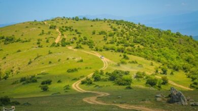 اصلاح و احیای 20 میلیون هکتار از مراتع کشور