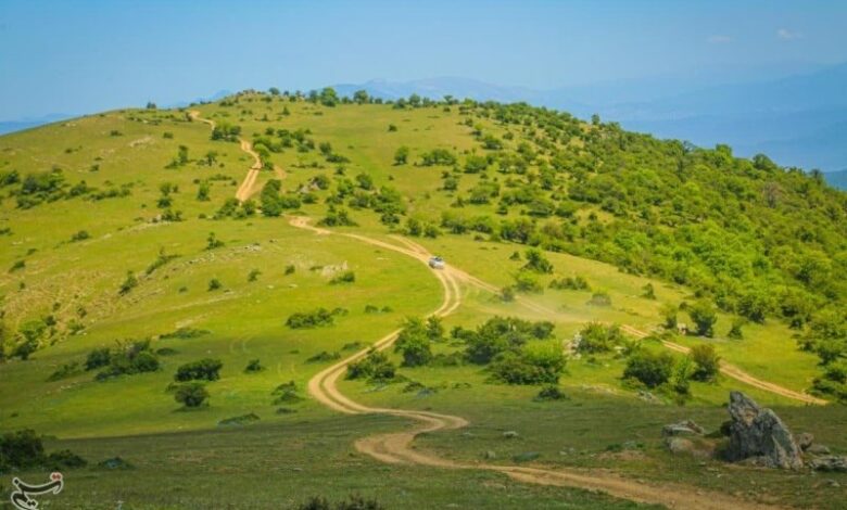 اصلاح و احیای 20 میلیون هکتار از مراتع کشور