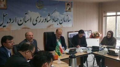 اعتبارات صندوق بیمه کشاورزی جوابگوی ‌خسارت‌ها نیست