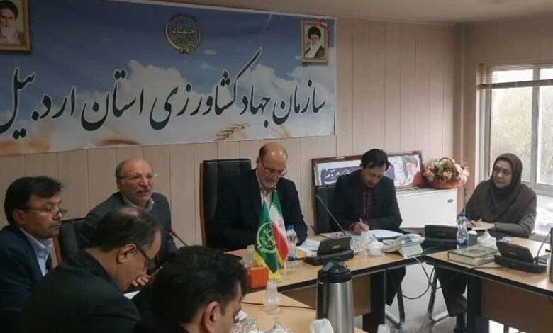 اعتبارات صندوق بیمه کشاورزی جوابگوی ‌خسارت‌ها نیست