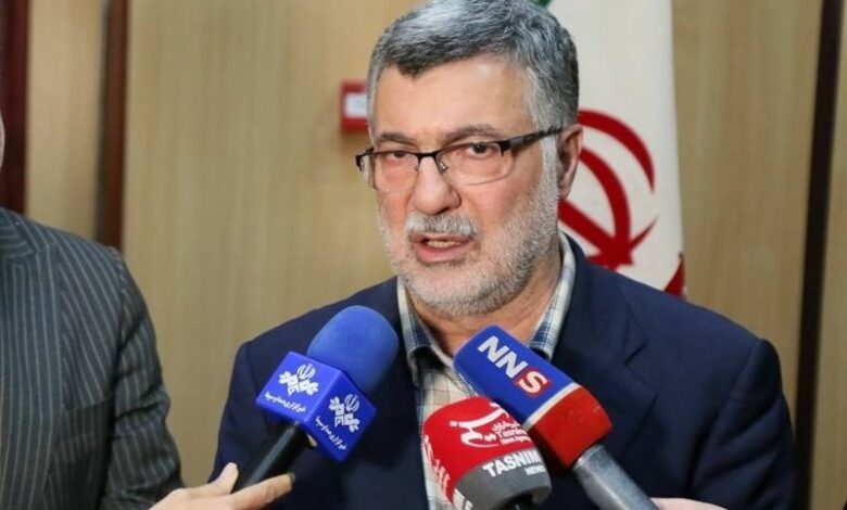 انتقاد وزیر بهداشت از بانک‌ها در اجرای قانون جوانی جمعیت