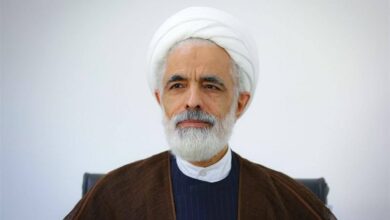 انصاری: تابعیت خود فرد شرط قطعی باشد نه همسر و فرزند