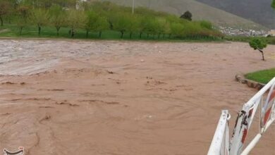 بارش 192.5 میلی متری باران در استان کردستان