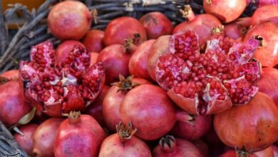 برگزاری دومین جشنواره ملی انار ایج و رودبال در اول آذرماه