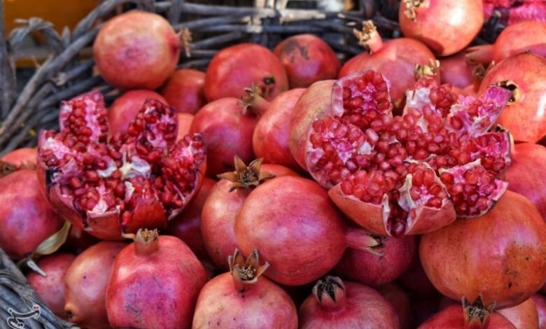 برگزاری دومین جشنواره ملی انار ایج و رودبال در اول آذرماه