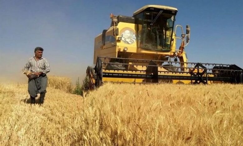 بودجه 12 هزار میلیارد تومانی برای بیمه محصولات کشاورزی