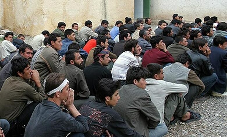 بیش از 80 درصد اتباع غیرمجاز فیروزکوه جمع‌آوری شدند