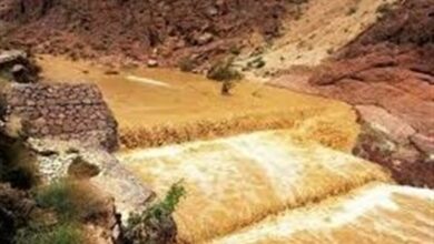 تخصیص 100 میلیارد تومان به طرح‌های آبخیزداری بوشهر