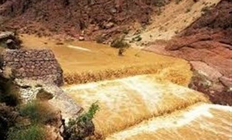 تخصیص 100 میلیارد تومان به طرح‌های آبخیزداری بوشهر